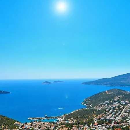 Lacivert Kalkan