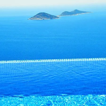 Lacivert * Kalkan