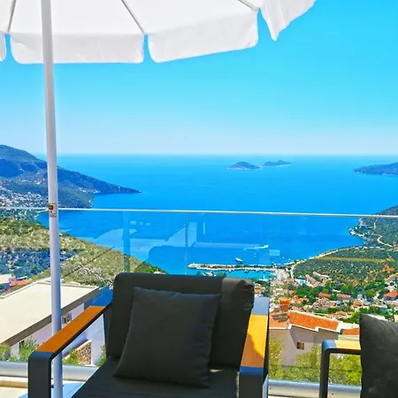 Lacivert * Kalkan