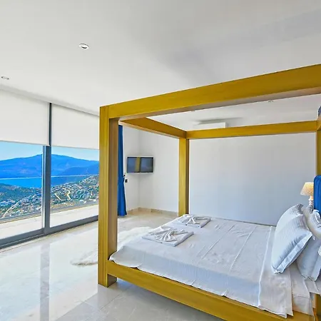 Lacivert * Kalkan