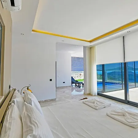 Lacivert Villa *