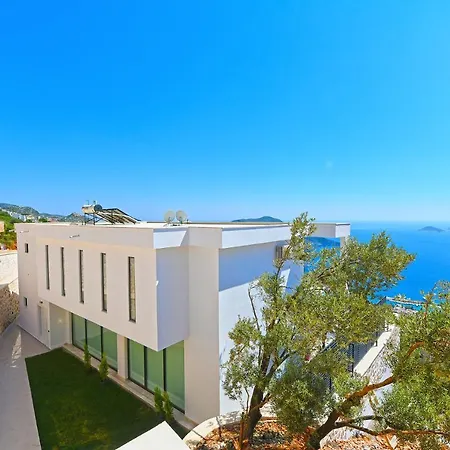 Lacivert Villa